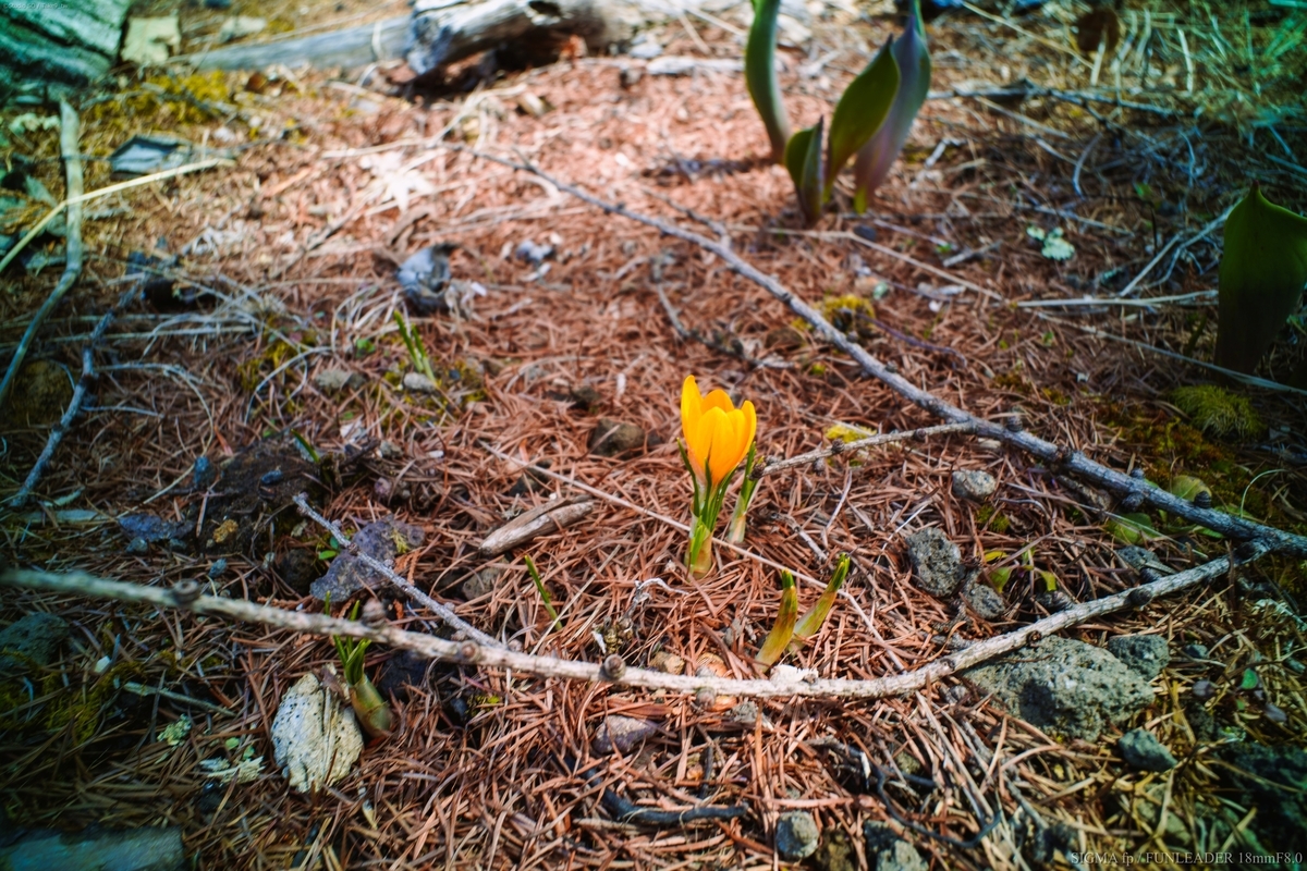 f:id:Take9_htn:20210331145604j:plain