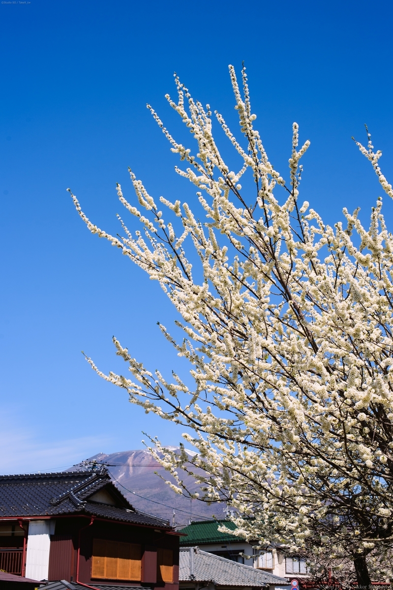 f:id:Take9_htn:20210509163903j:plain