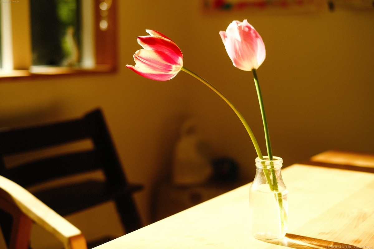 f:id:Take9_htn:20210521170601j:plain