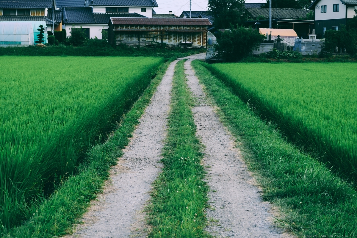 f:id:Take9_htn:20210807114425j:plain
