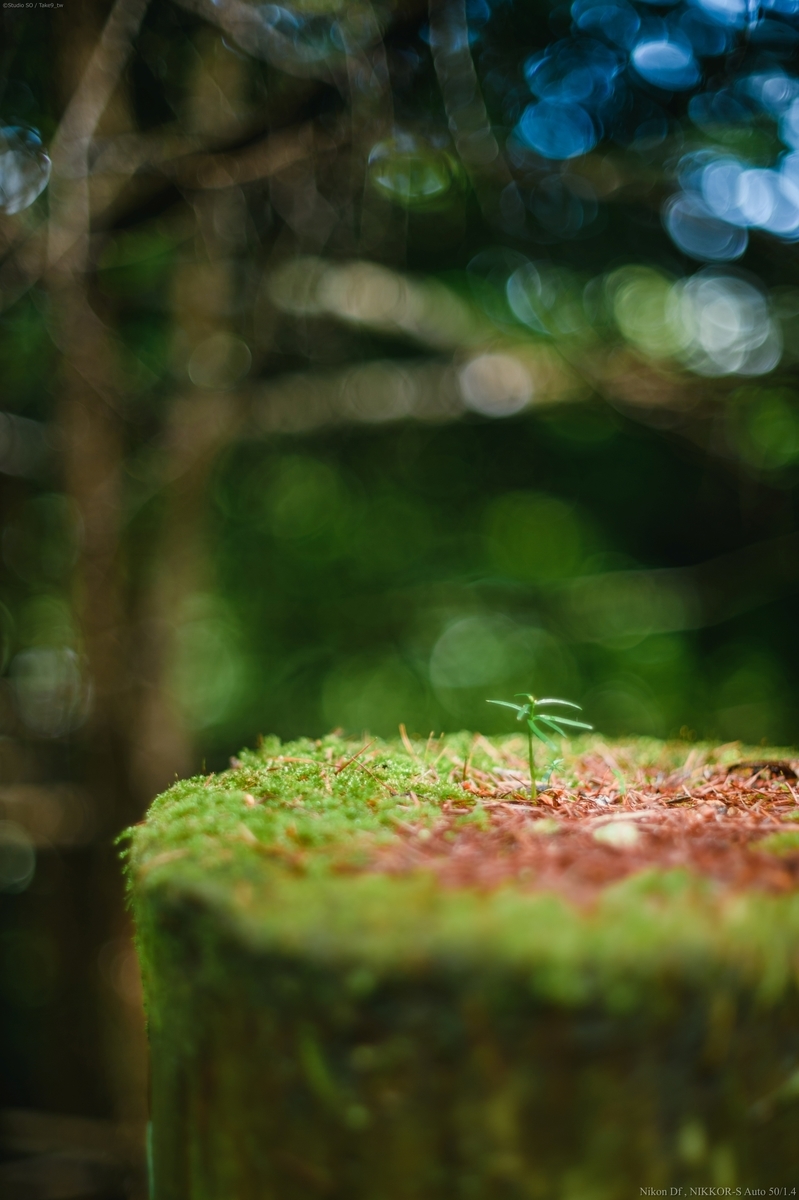 f:id:Take9_htn:20210818164131j:plain