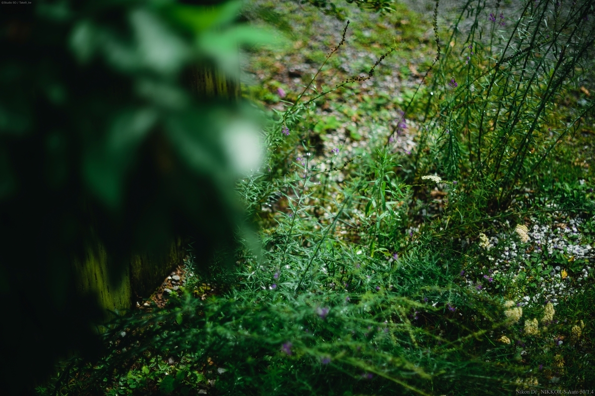 f:id:Take9_htn:20210818164212j:plain