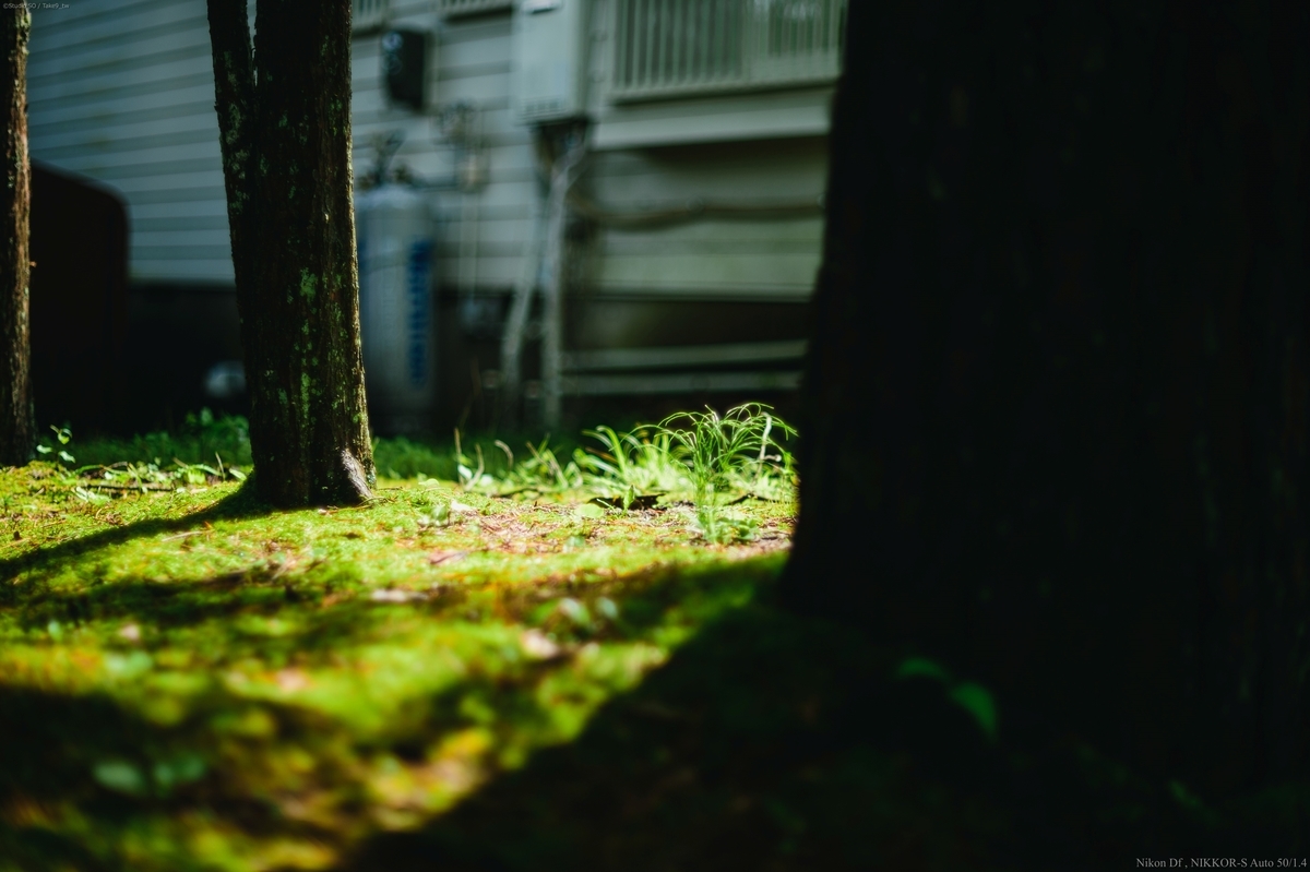 f:id:Take9_htn:20210818164256j:plain