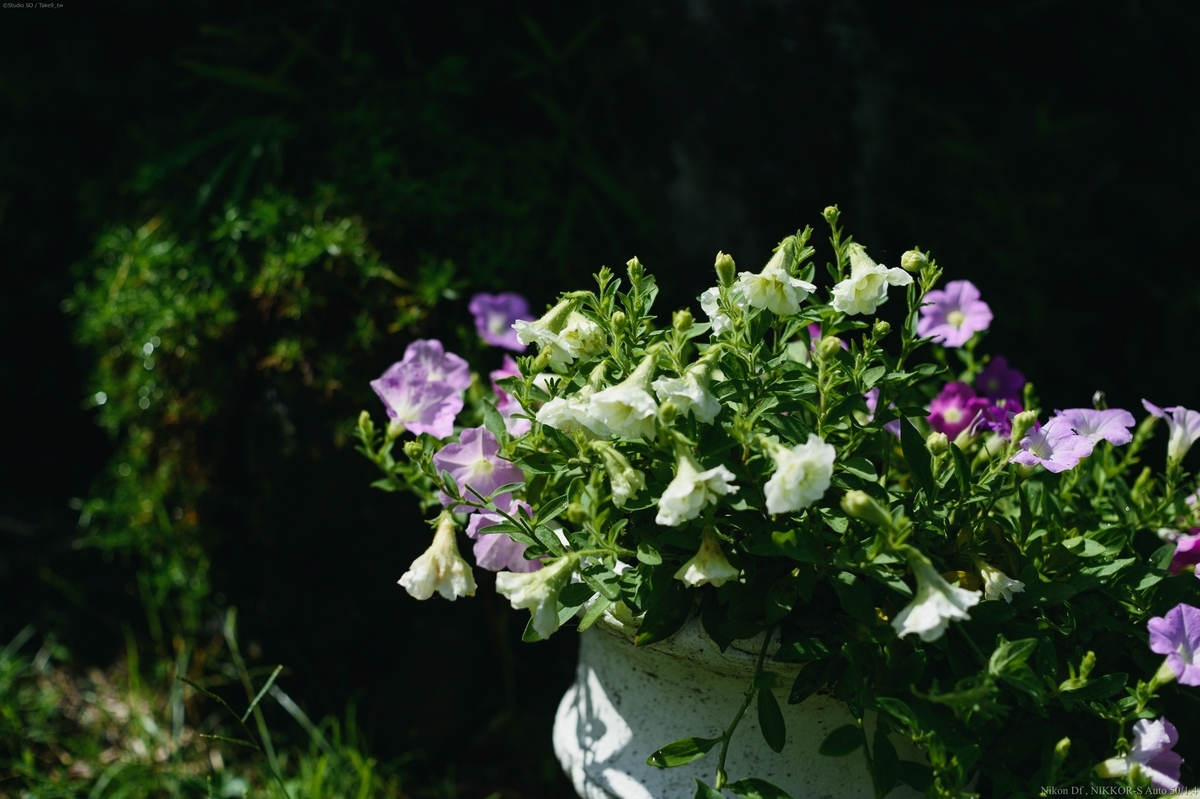 f:id:Take9_htn:20210818164312j:plain