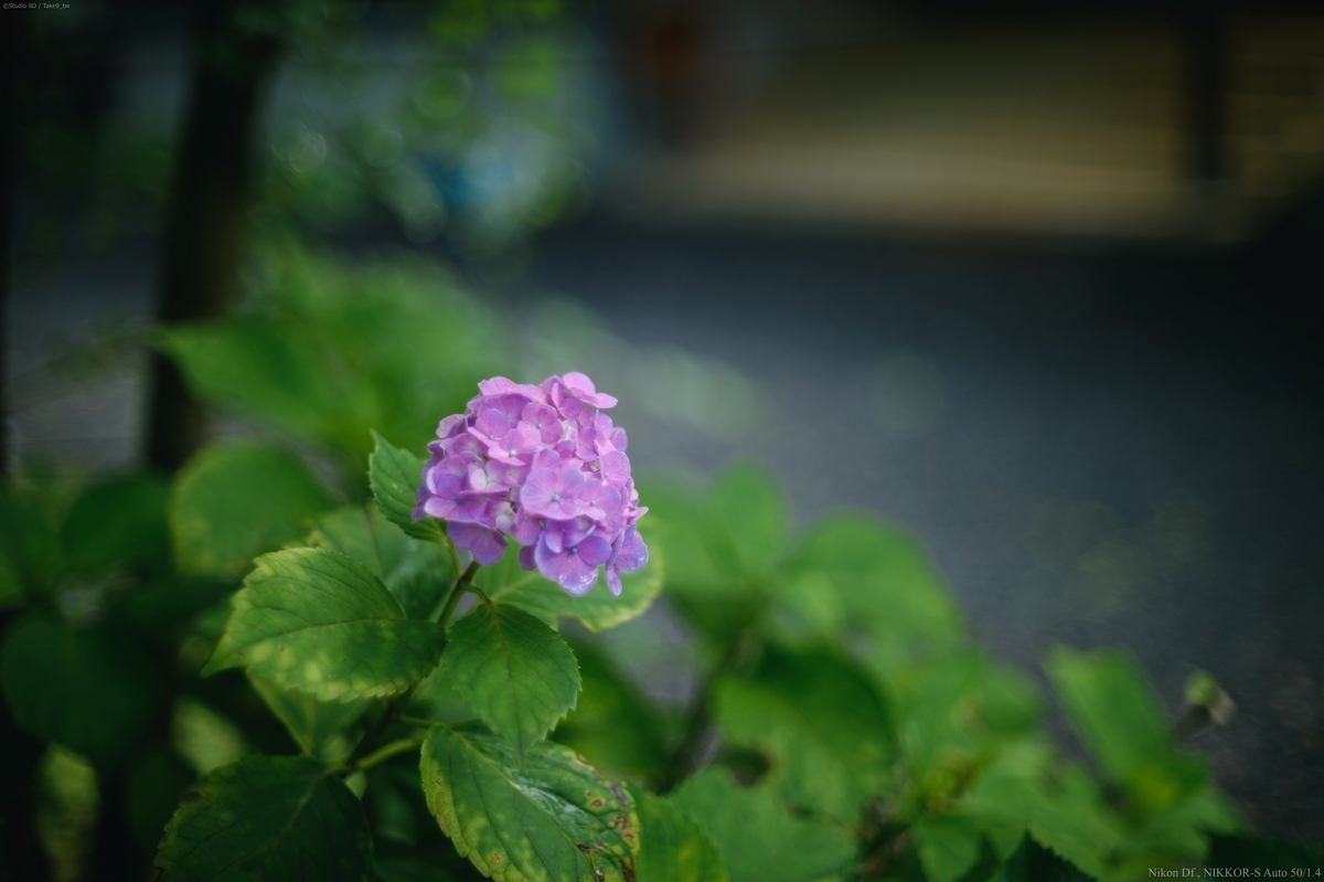 f:id:Take9_htn:20210818164502j:plain