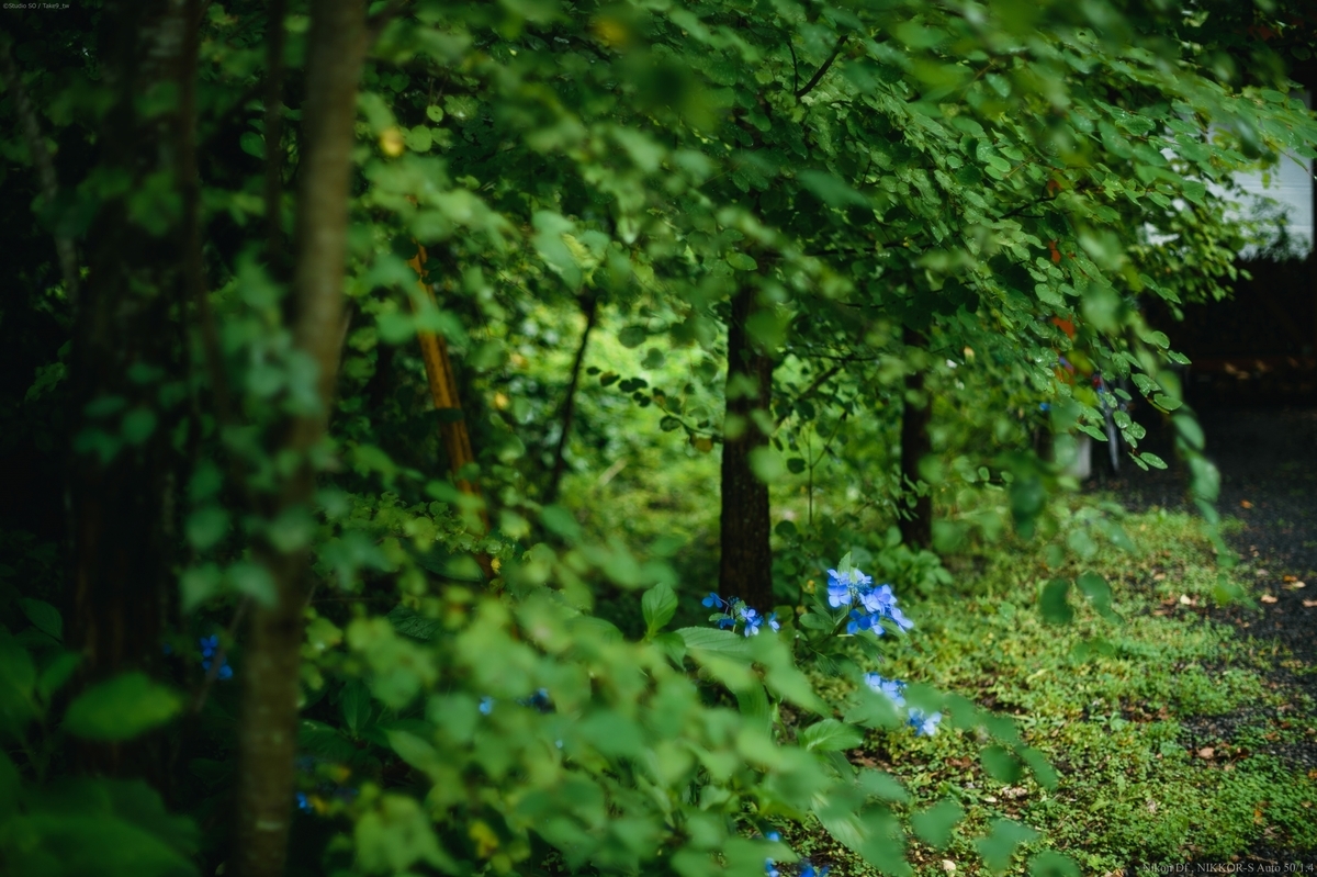 f:id:Take9_htn:20210818164510j:plain