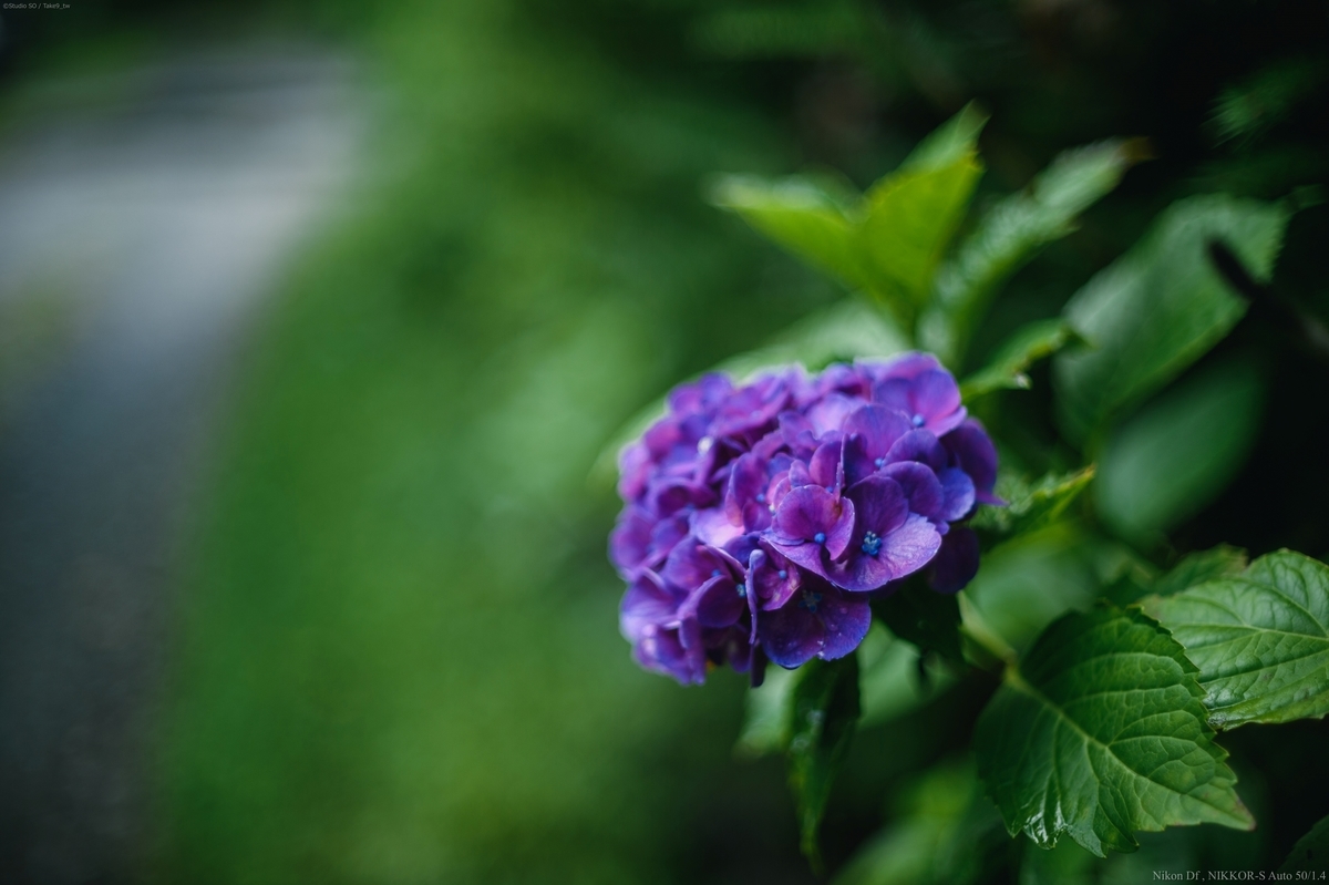 f:id:Take9_htn:20210818164518j:plain