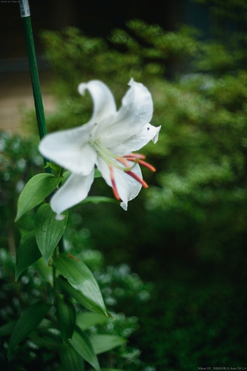 f:id:Take9_htn:20210818164527j:plain