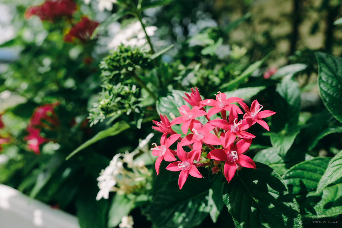 f:id:Take9_htn:20210905152214j:plain