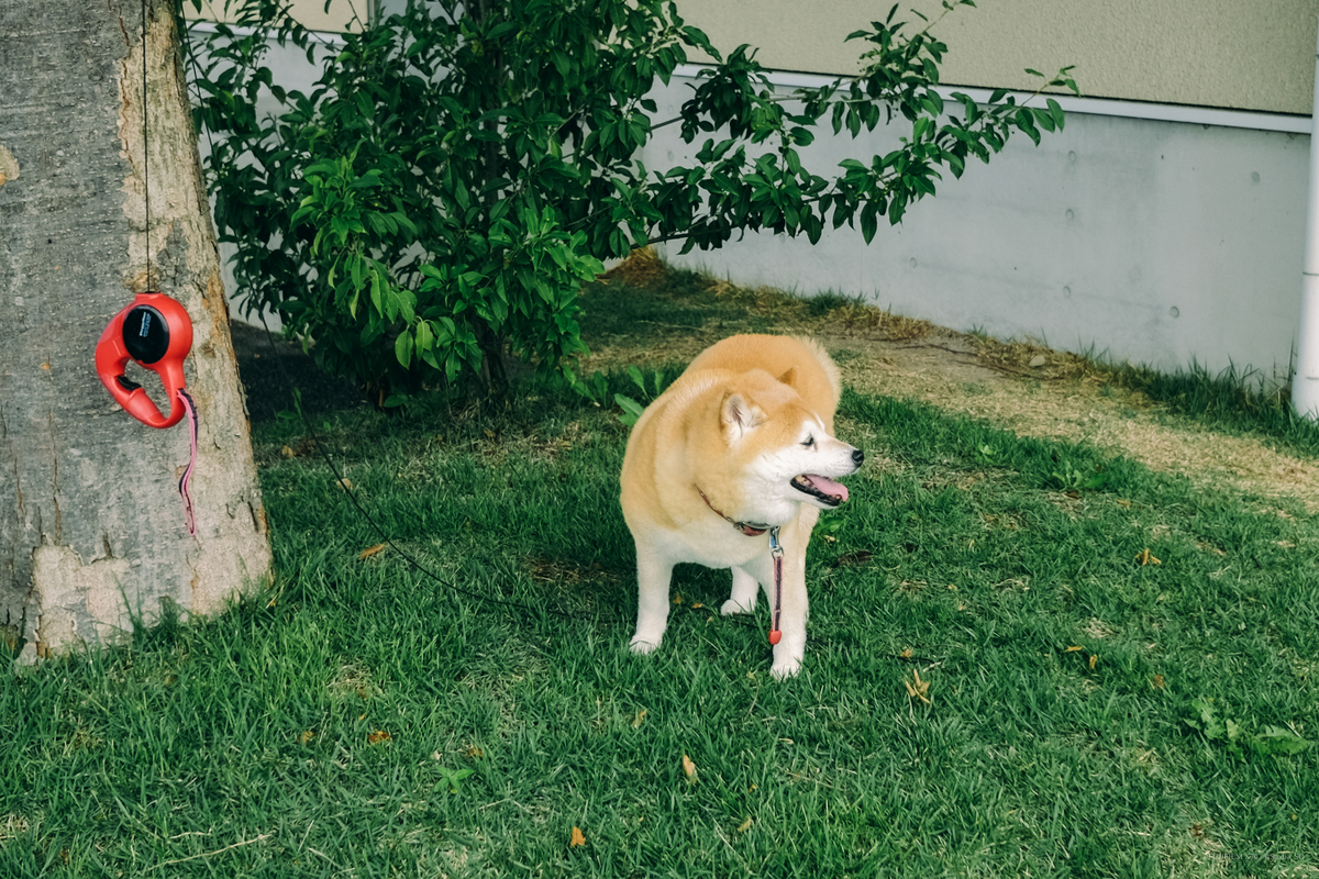 f:id:Take9_htn:20210905152241j:plain