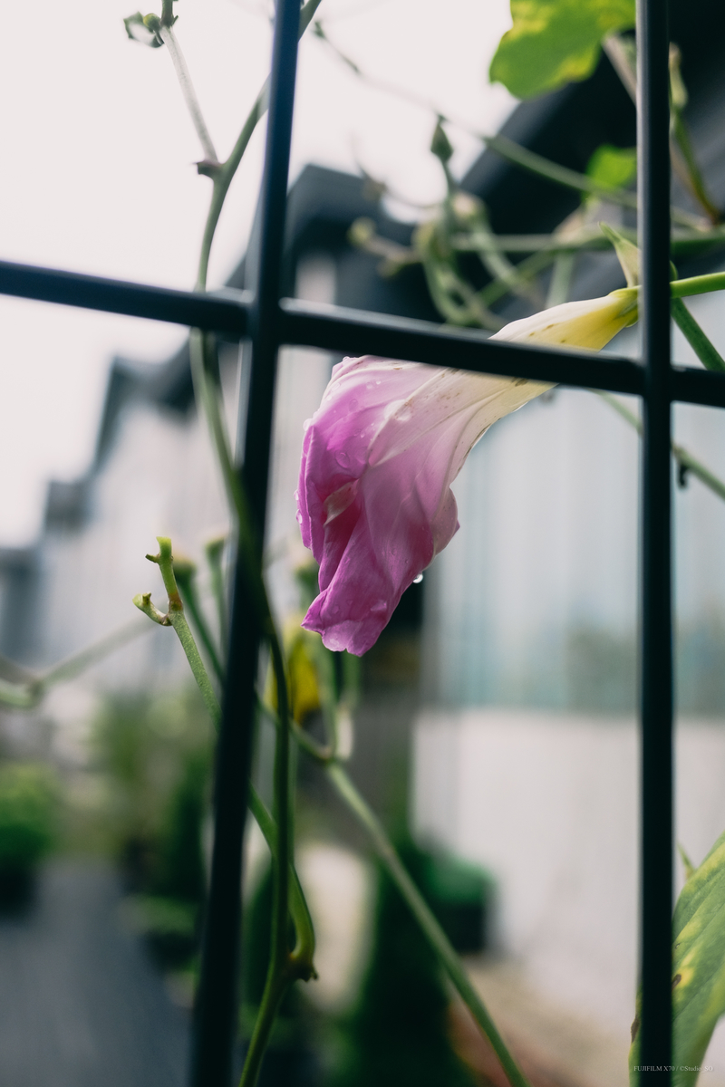 f:id:Take9_htn:20210908161444j:plain