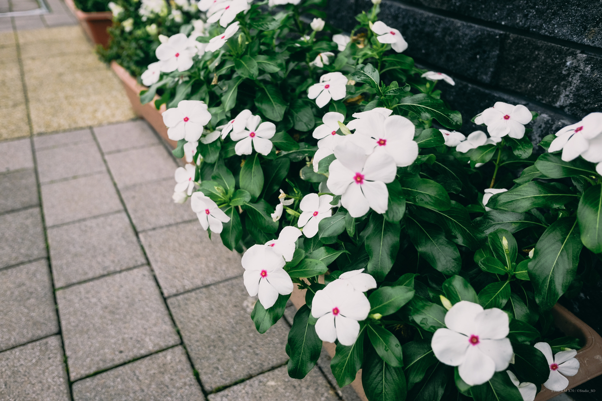 f:id:Take9_htn:20210908161512j:plain