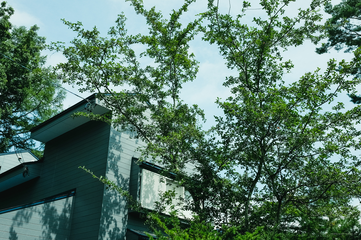 f:id:Take9_htn:20210908163106j:plain