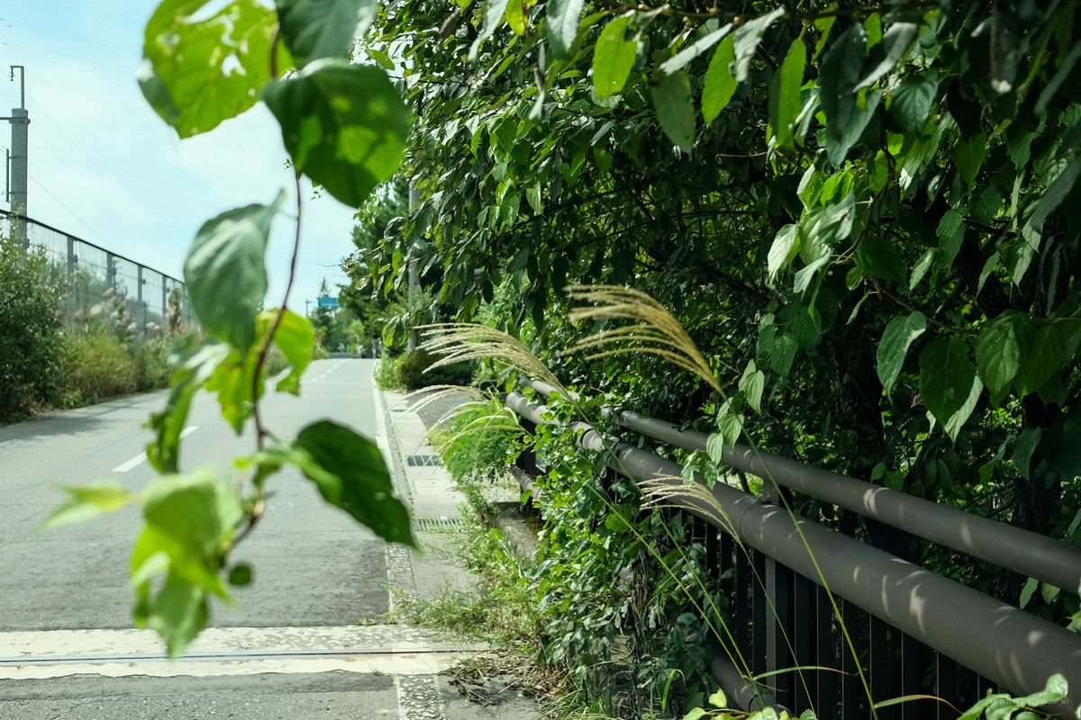 f:id:Take9_htn:20210908163129j:plain