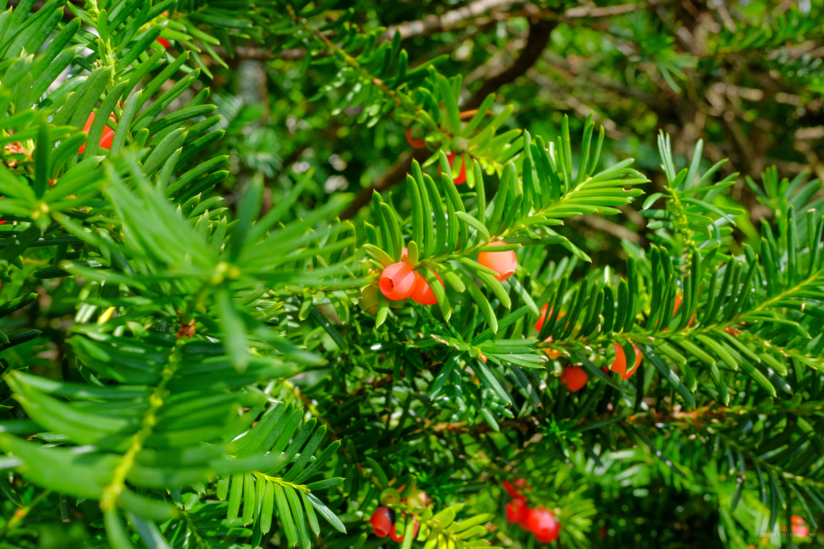 f:id:Take9_htn:20210908163750j:plain