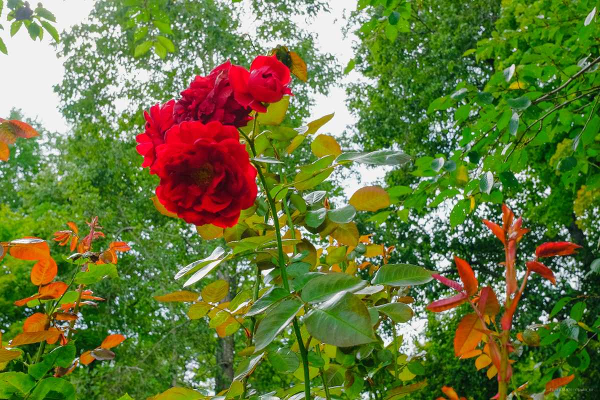 f:id:Take9_htn:20210908163758j:plain