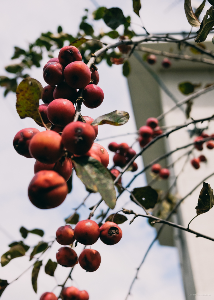 f:id:Take9_htn:20210908164037j:plain