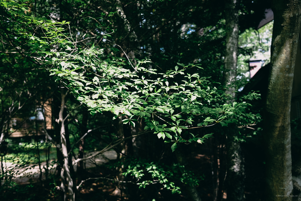 f:id:Take9_htn:20210908164113j:plain