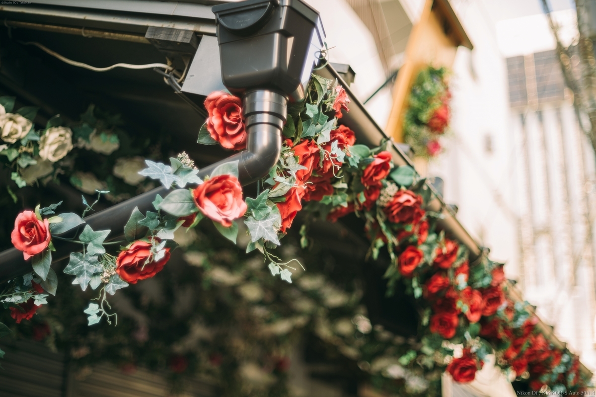 f:id:Take9_htn:20211228104326j:plain