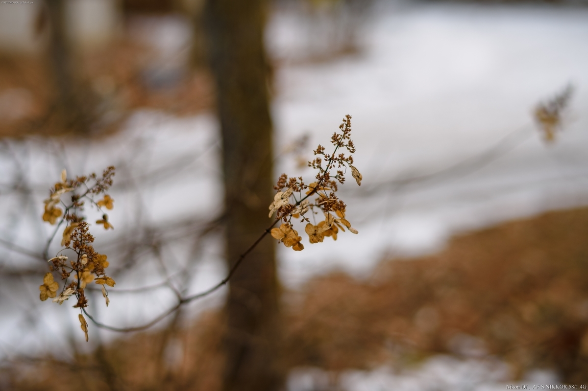 f:id:Take9_htn:20220123120152j:plain