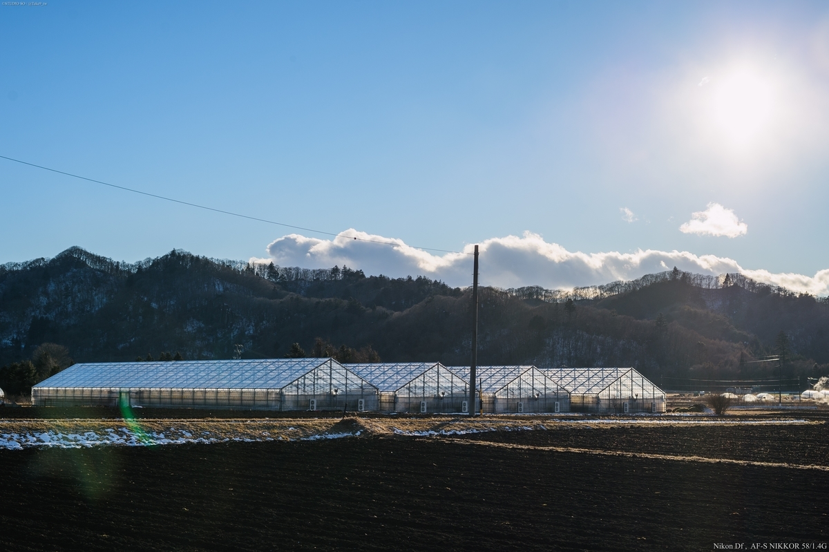 f:id:Take9_htn:20220123142732j:plain