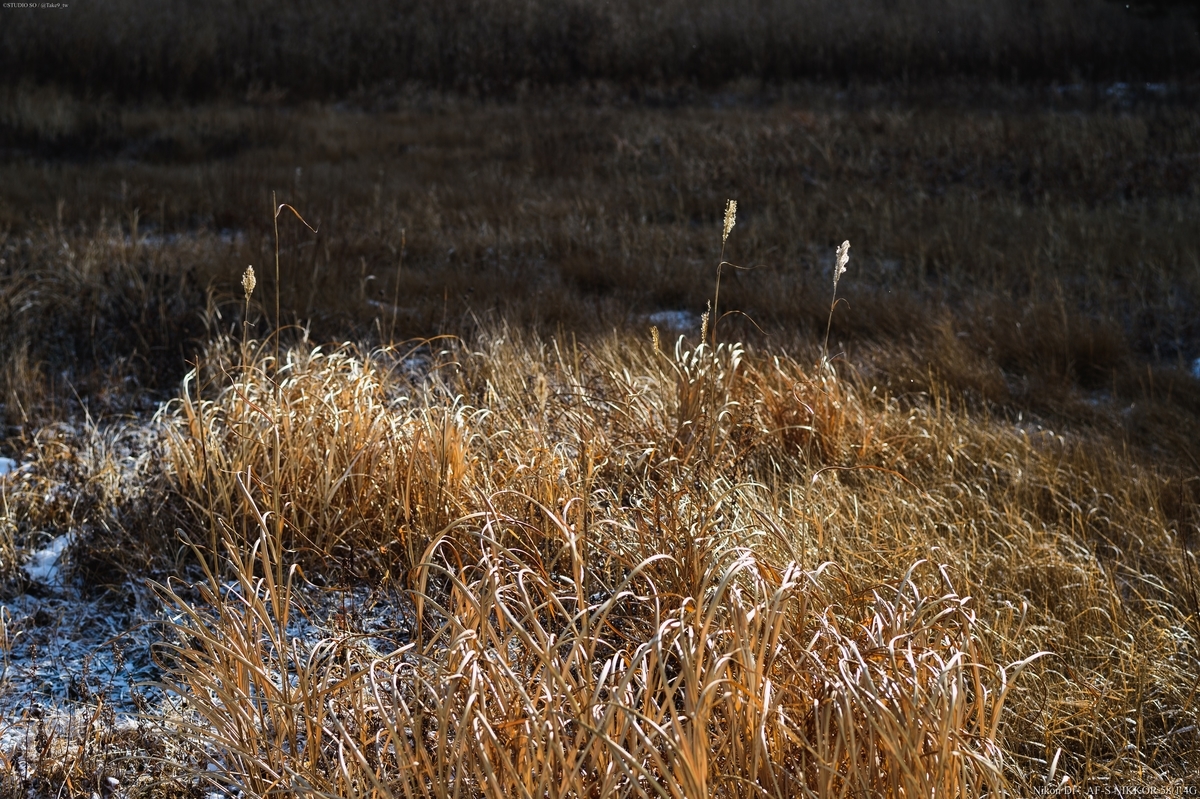 f:id:Take9_htn:20220123144212j:plain