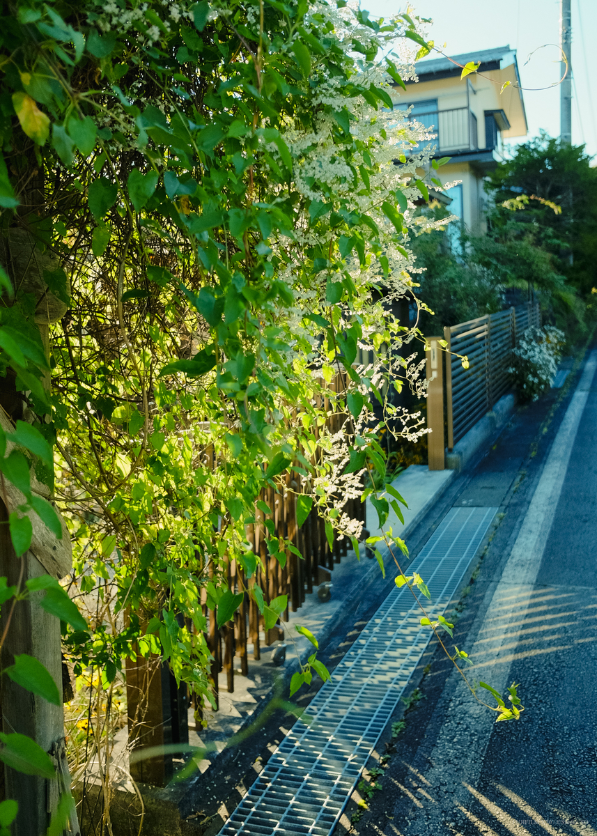 f:id:Take9_htn:20220221131140j:plain