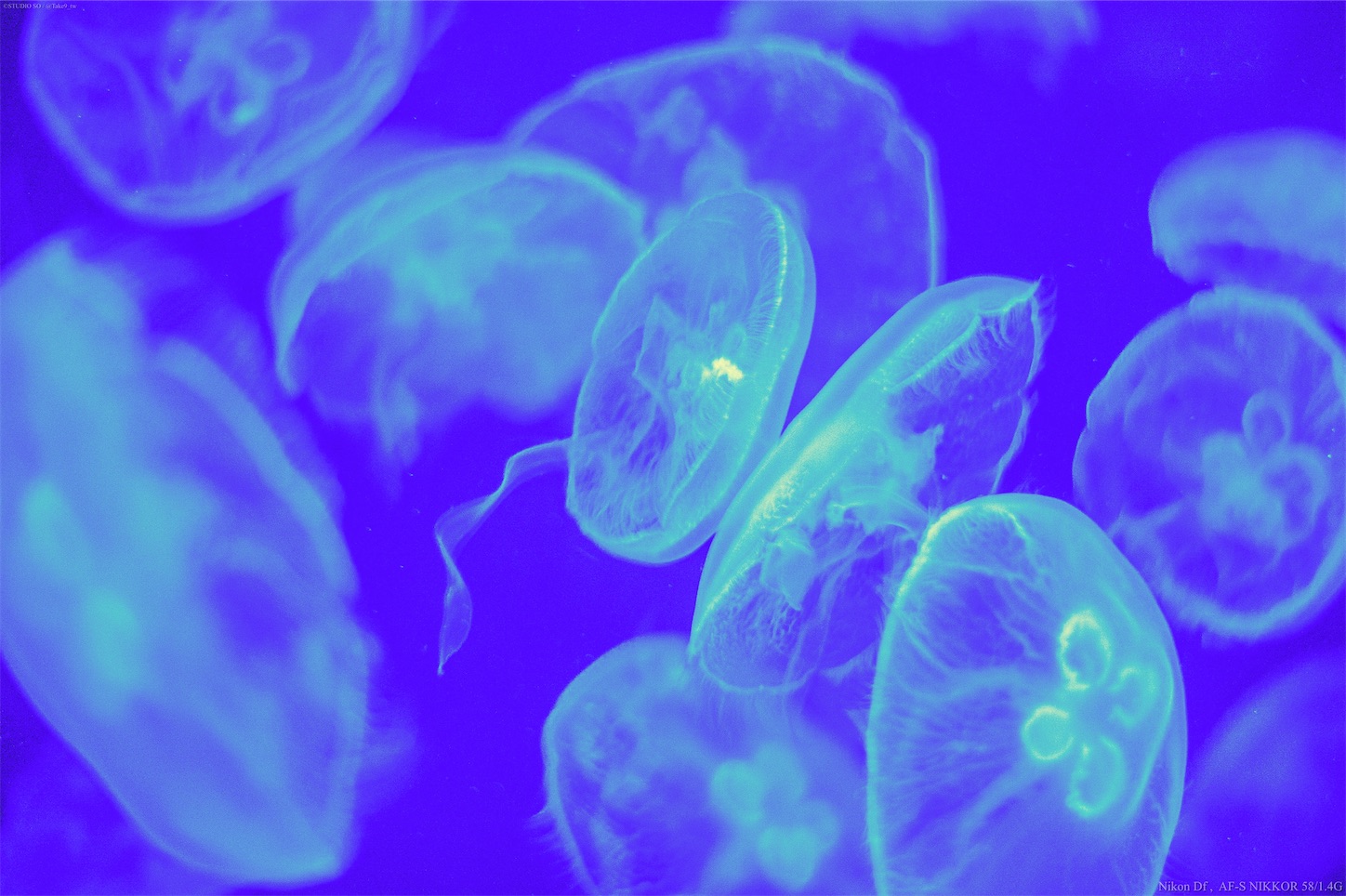 f:id:Take9_htn:20220407210501j:image