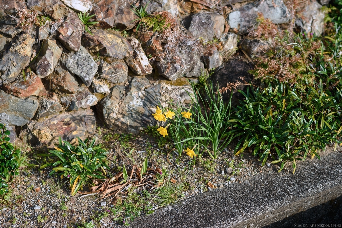 f:id:Take9_htn:20220412101059j:plain