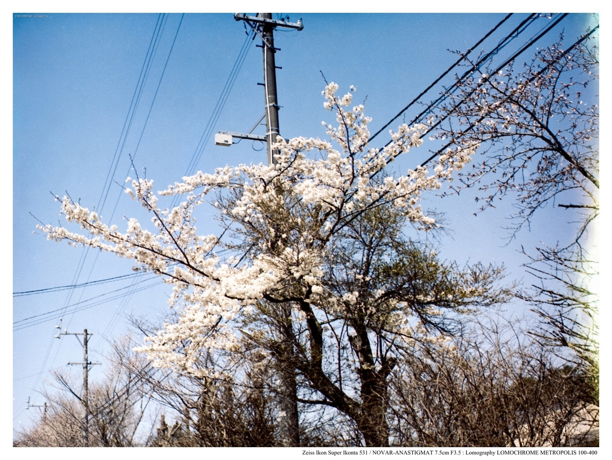 専用　参考写真 999 ECU ドゥカティ 純正 中古 バイク 部品 DUCATI 999S イタリア