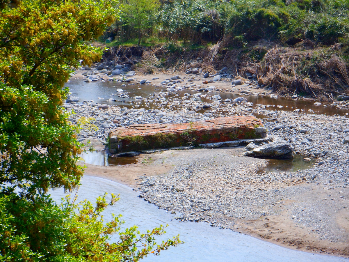 f:id:TakeNaoNeOk:20200501124153j:plain