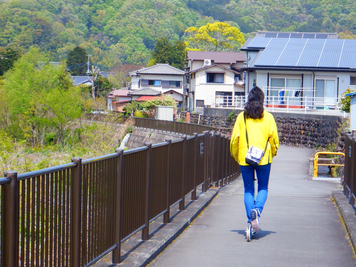 f:id:TakeNaoNeOk:20200501125258j:plain