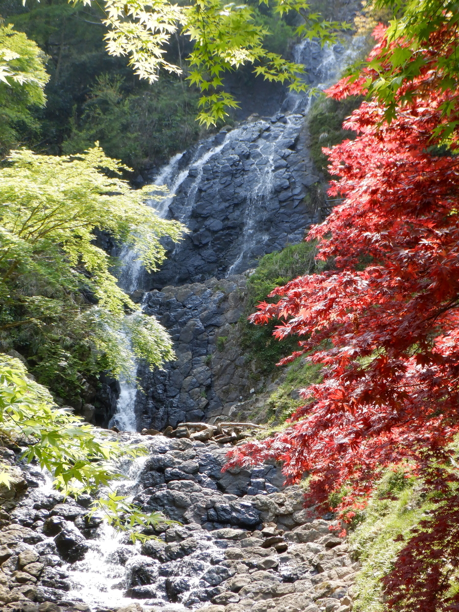 f:id:TakeNaoNeOk:20200501125459j:plain