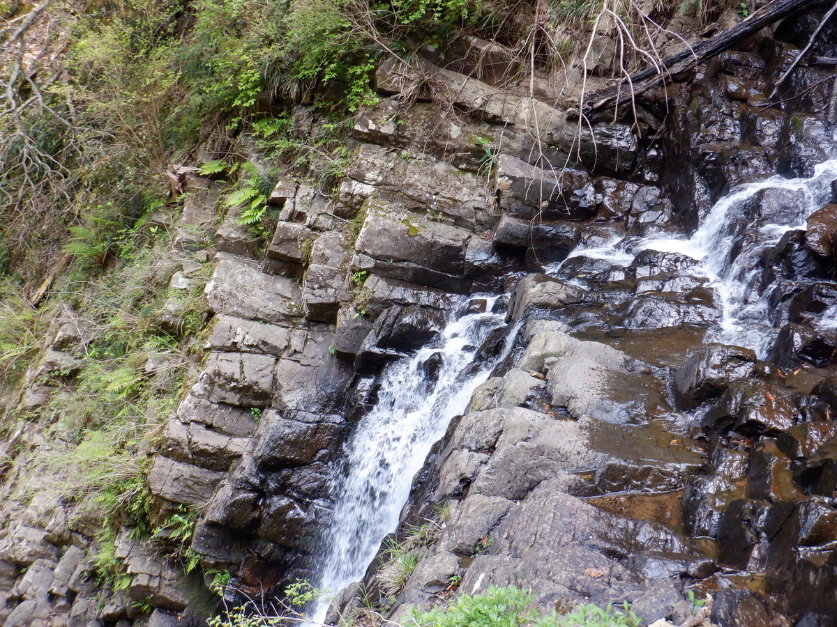 f:id:TakeNaoNeOk:20200501125731j:plain