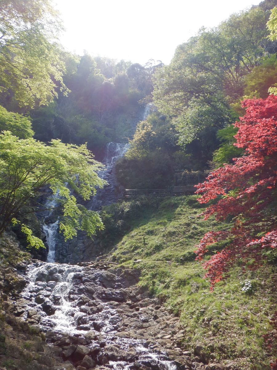 f:id:TakeNaoNeOk:20200501130108j:plain