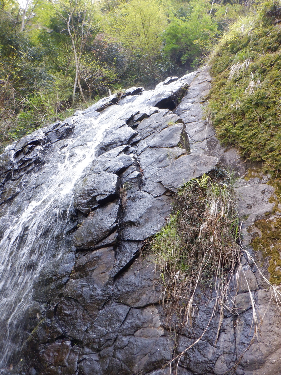 f:id:TakeNaoNeOk:20200501130209j:plain