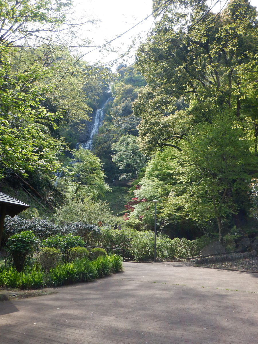 f:id:TakeNaoNeOk:20200501130331j:plain