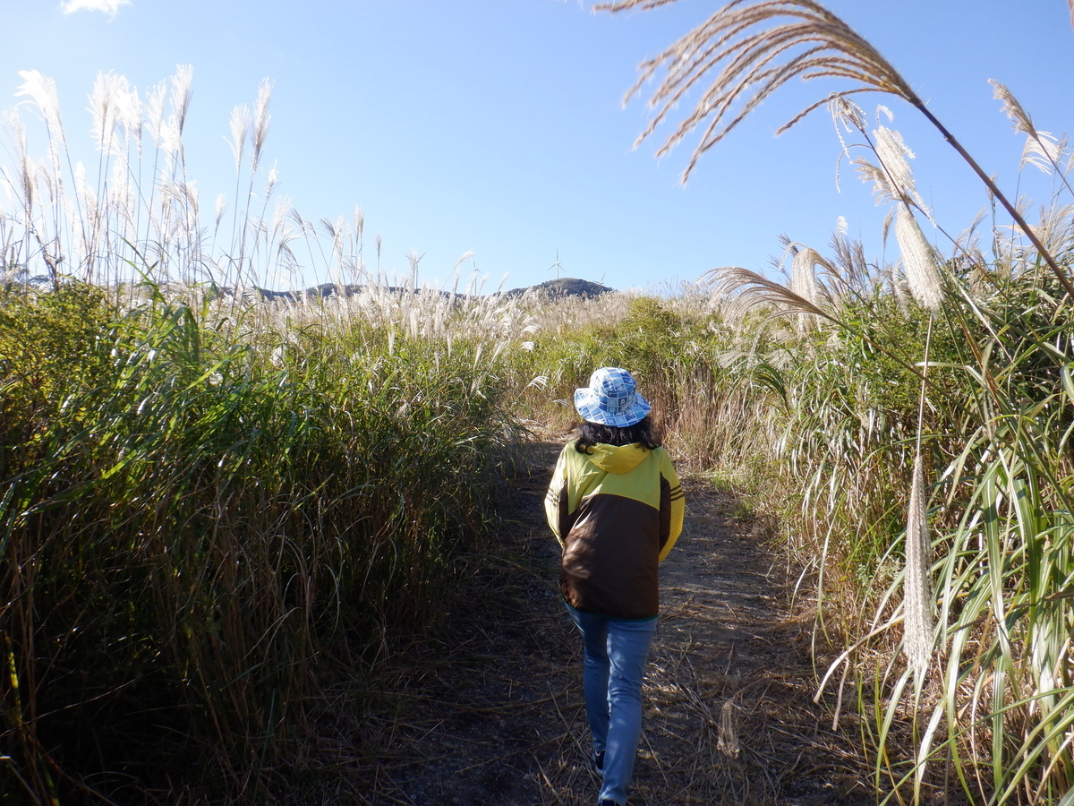 f:id:TakeNaoNeOk:20201025184404j:plain