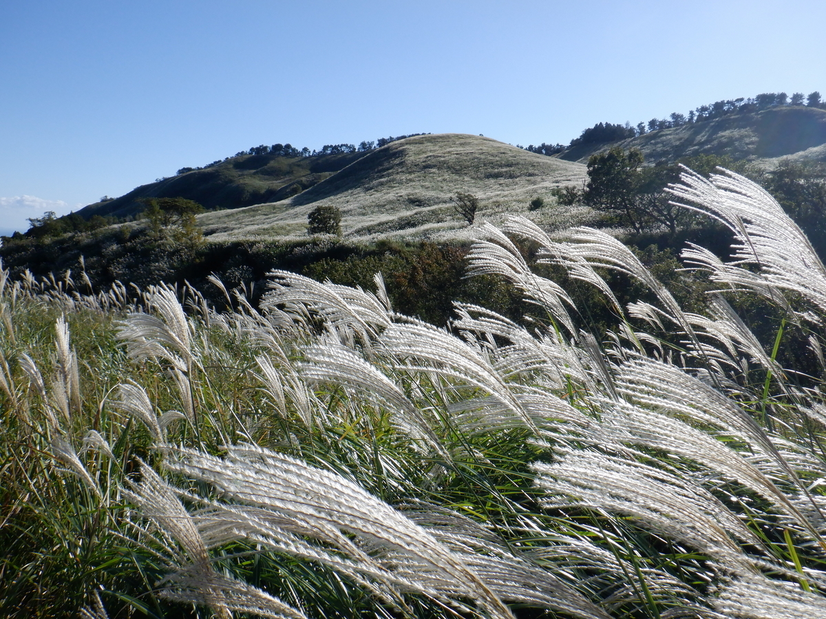 f:id:TakeNaoNeOk:20201025190234j:plain