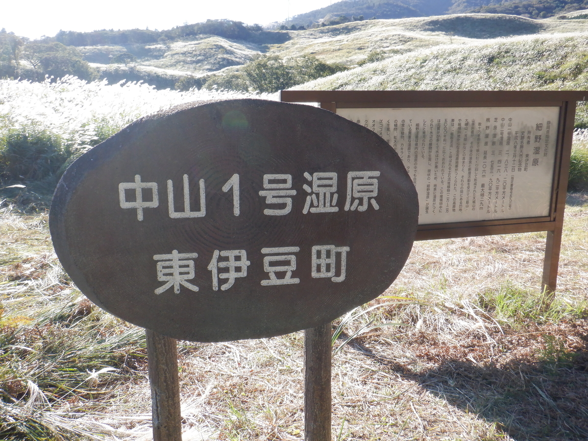 f:id:TakeNaoNeOk:20201025190348j:plain