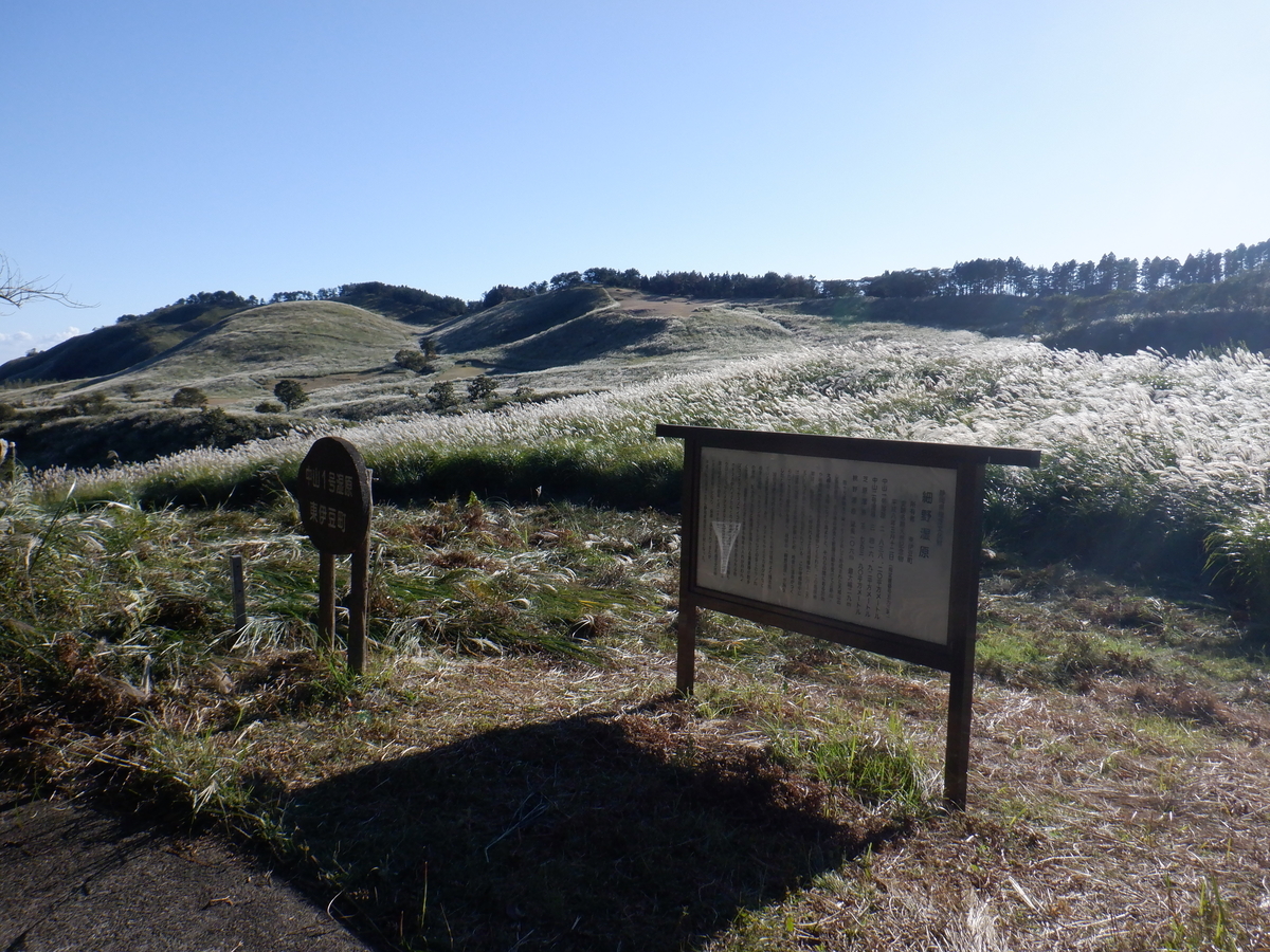 f:id:TakeNaoNeOk:20201025190443j:plain