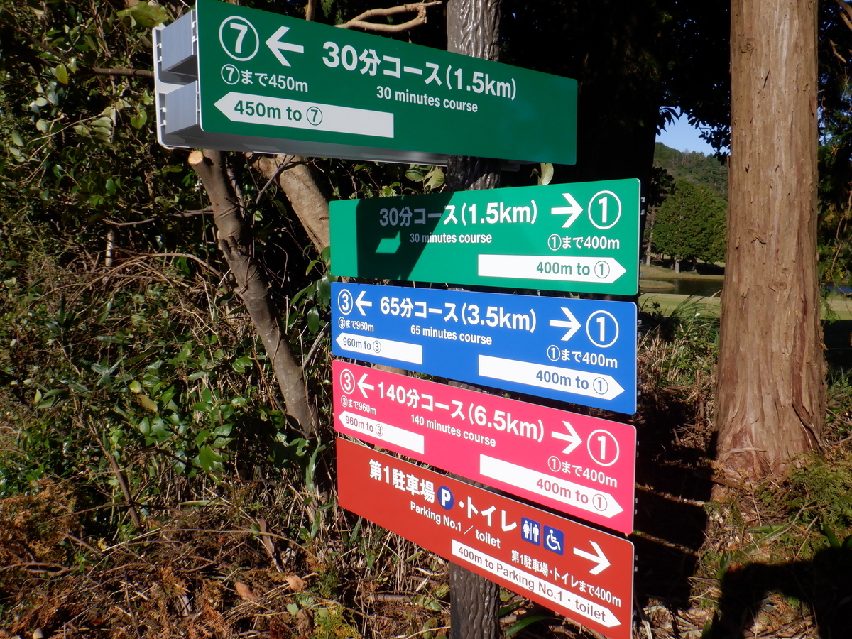 f:id:TakeNaoNeOk:20201025190601j:plain