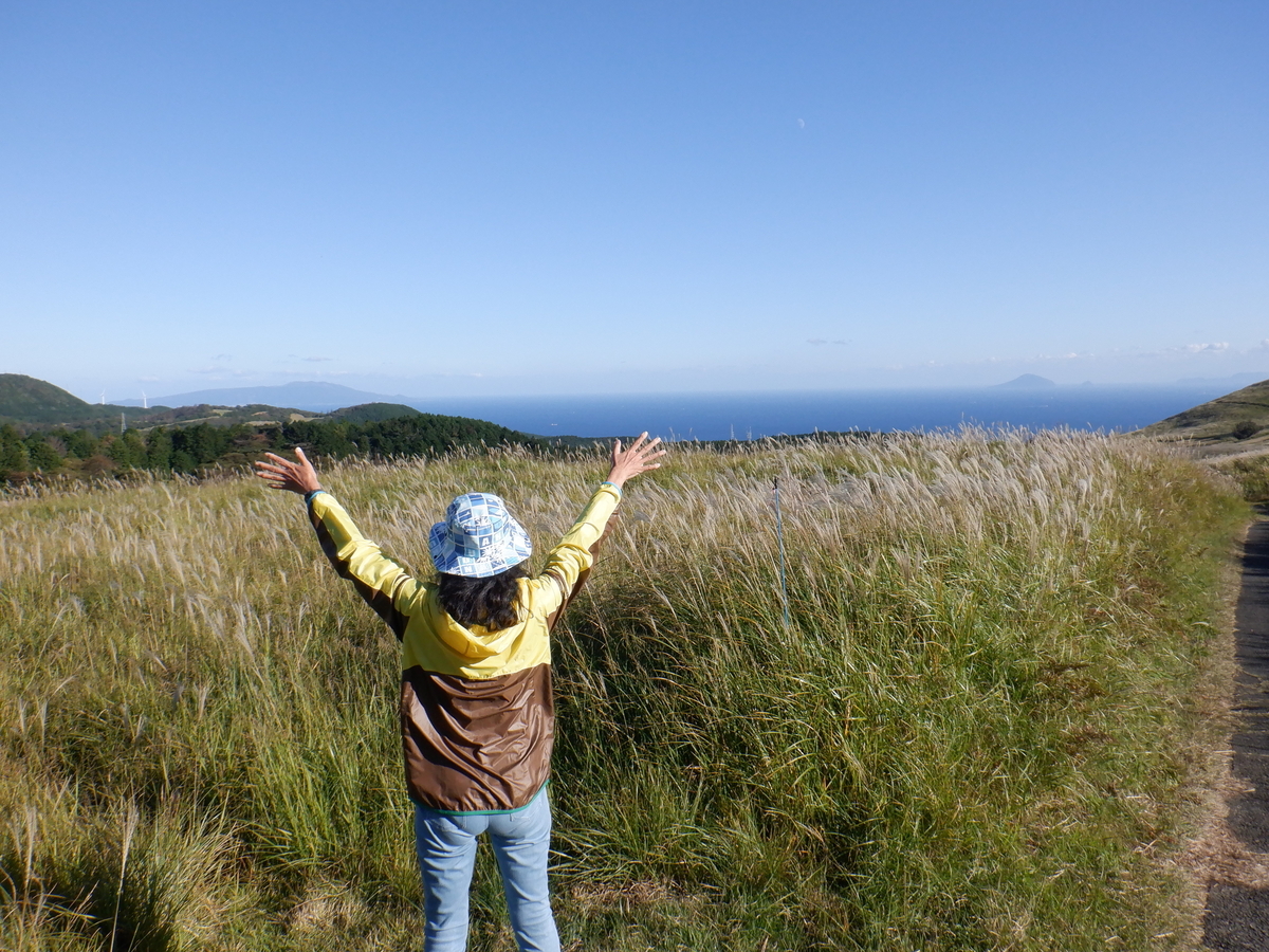 f:id:TakeNaoNeOk:20201025190644j:plain