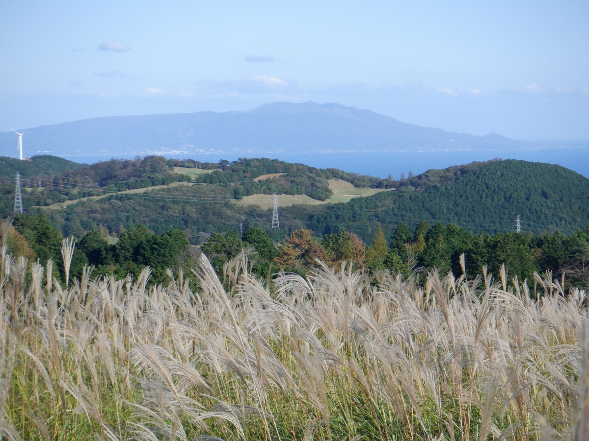 f:id:TakeNaoNeOk:20201025190733j:plain