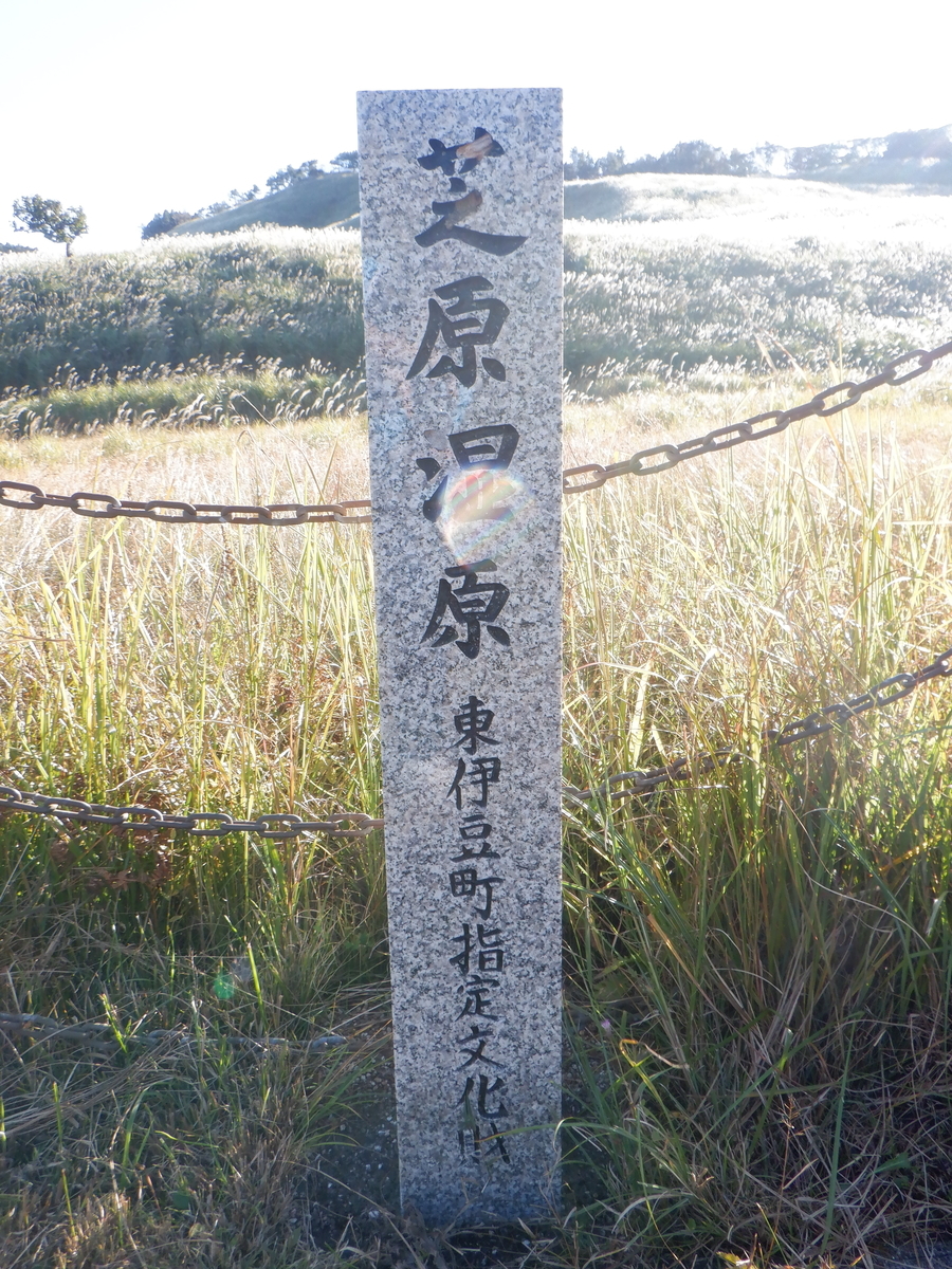 f:id:TakeNaoNeOk:20201025190926j:plain