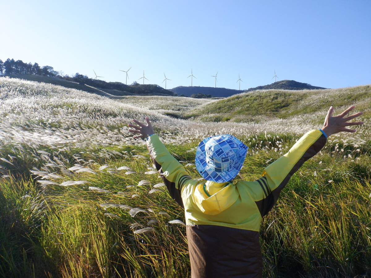 f:id:TakeNaoNeOk:20201025191006j:plain