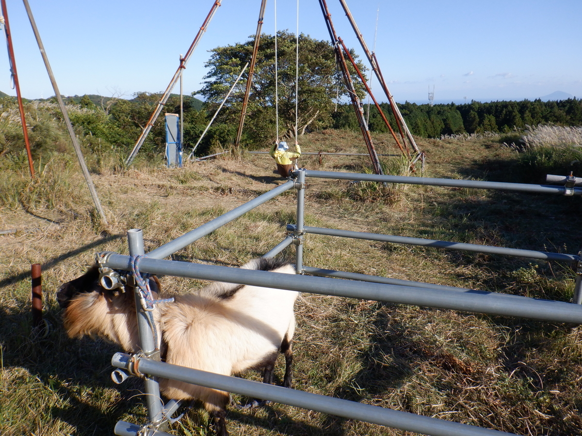 f:id:TakeNaoNeOk:20201025191141j:plain