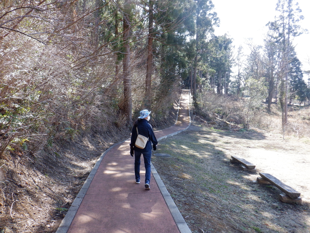 f:id:TakeNaoNeOk:20210301123147j:plain