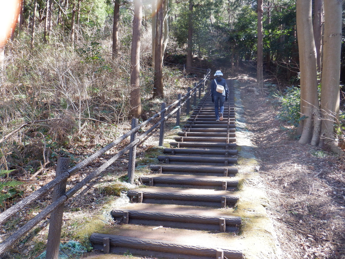 f:id:TakeNaoNeOk:20210301123249j:plain