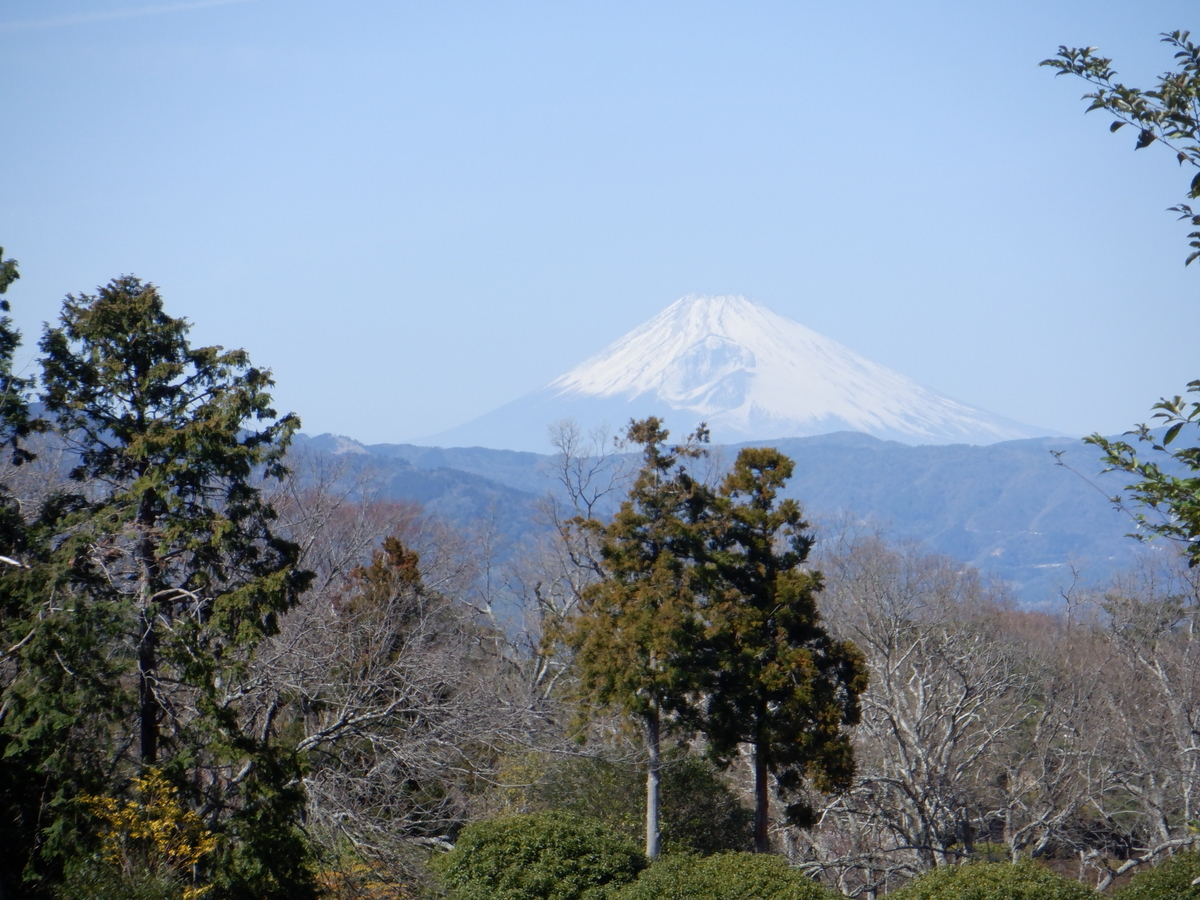 f:id:TakeNaoNeOk:20210301123314j:plain